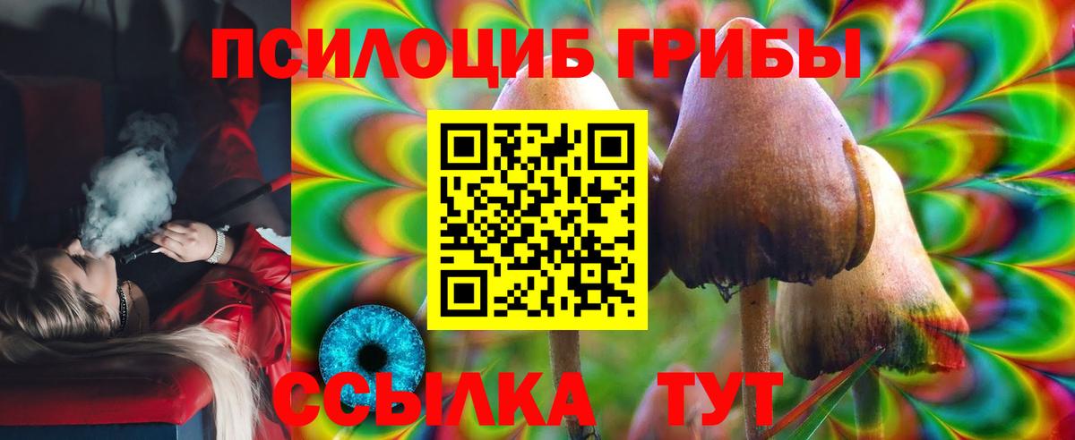 Псилоцибиновые грибы GOLDEN TEACHER Сланцы