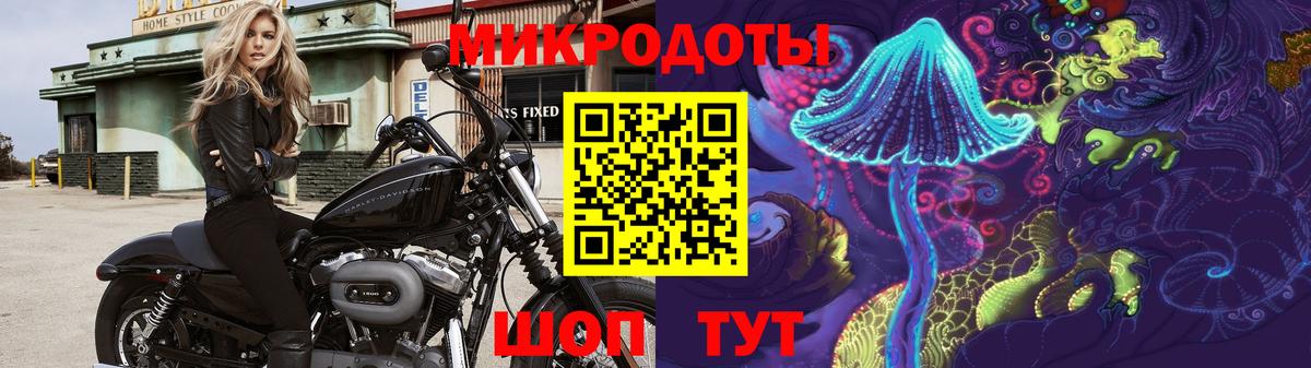 Сланцы  Псилоцибиновые грибы Cubensis  Вход с VPN 